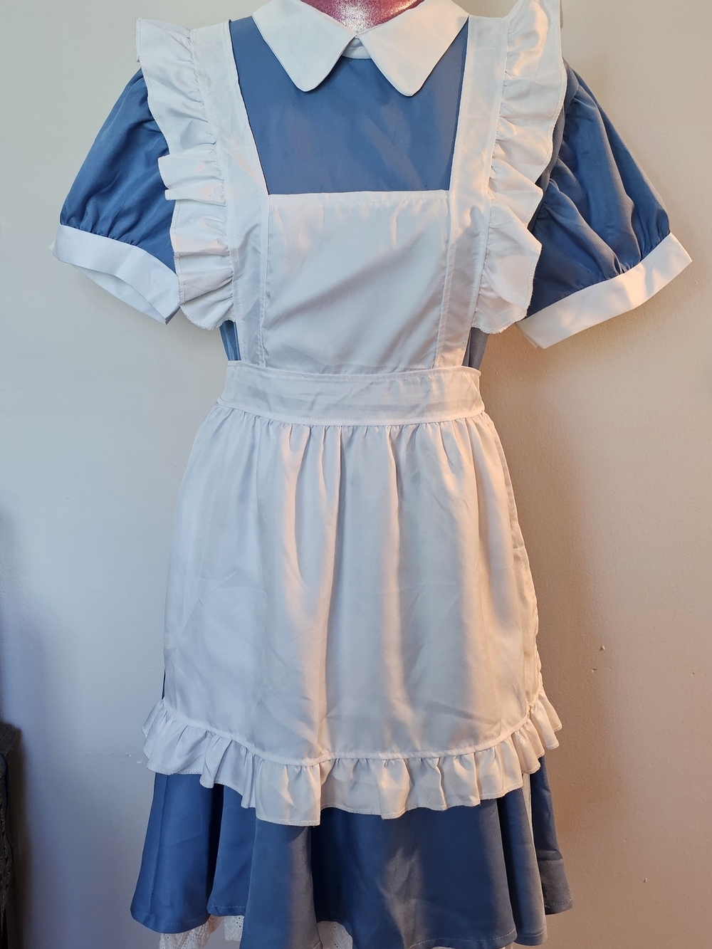 Alice In Wonderland Costume